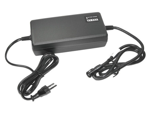 Battery charger Yamaha framebattery Raymon 