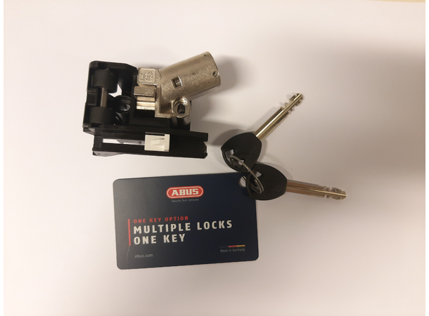 Lock module Haibike/Winora Simplo 720Wh 