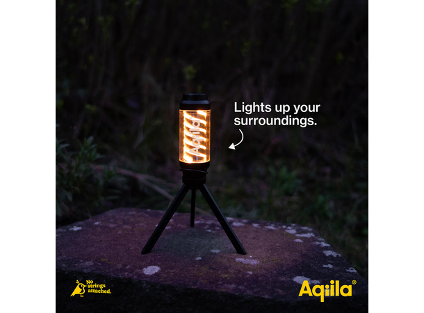 Aqiila Lightbird G1 Glowlight + Torch 