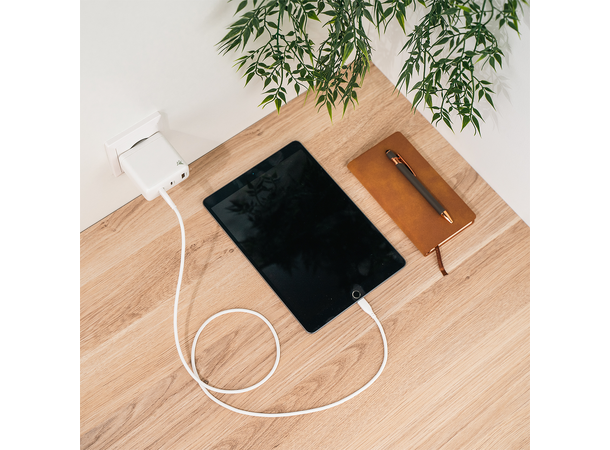 Aqiila Silicon USB-C/Lightni. 2.0 30W 1m Charging cable 