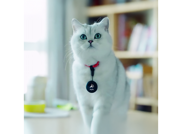 Aqiila Tagbird Bike Bell 