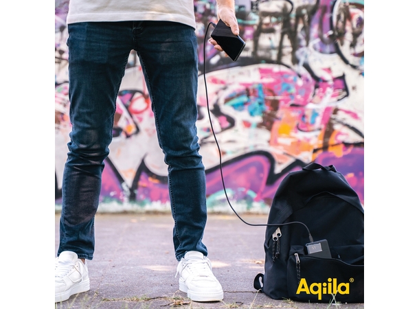 Aqiila Powerbird B20B+ 20000mAh 65W Powerbank for mobile & laptop - Black 