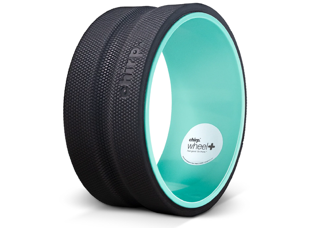 Chirp Wheel Plus 10" Firm 