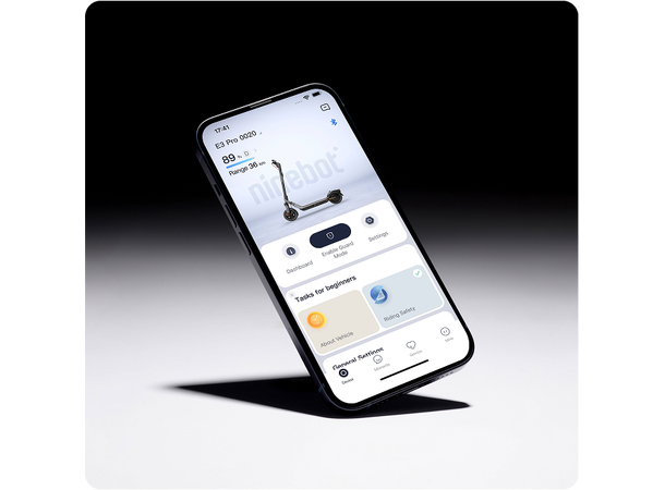 Segway by Ninebot E3 E Silver/Grey 