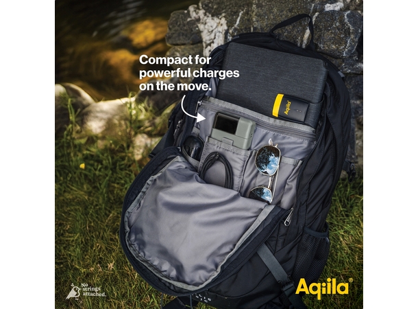 Aqiila Powerbird B20M+ 20000 mAh 65W Powerbank for mobile & laptop - Moss 