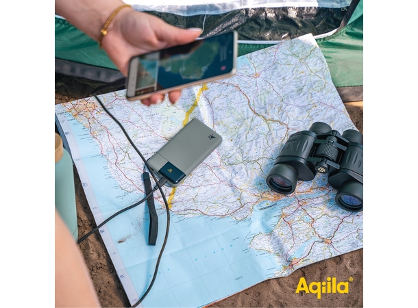 Aqiila Powerbird B20M+ 20000 mAh 65W Powerbank for mobile & laptop - Moss 