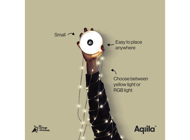 Aqiila Lightbird BL2 Glowlight 