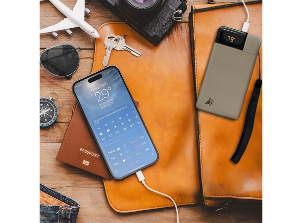 Aqiila Powerbird B10B 10000 mAh 20W Powerbank - Black 