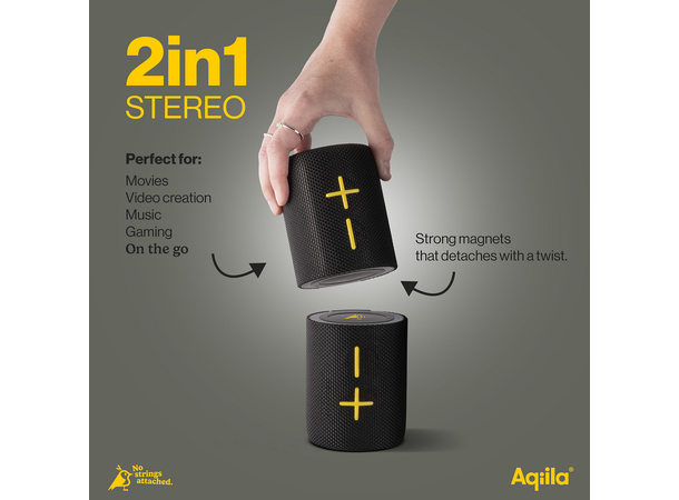 Aqiila Soundbird Duo 2-in-1 Portable Speaker 