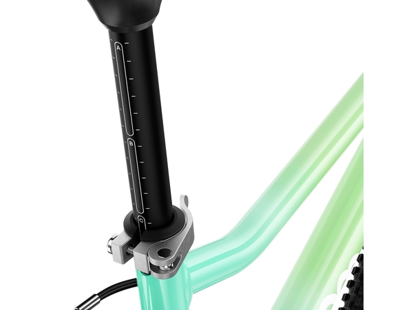 Woom Go 4 20" Spearmint Crush Ltd Edt 7,8kg, 6-8 år, 115-130cm 