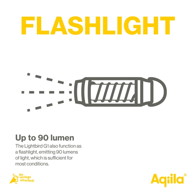 Aqiila Lightbird G1 Glowlight + Torch 