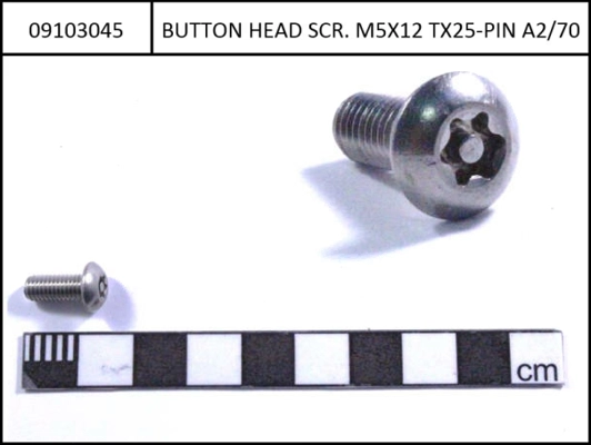 Safety screw with Special-Torx with Pin M5x12, for Yamaha/Simplo lock module 