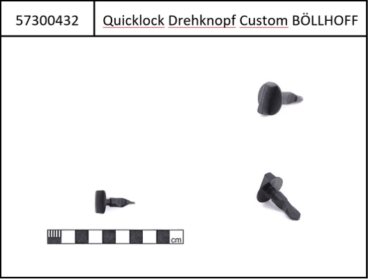 Böllhoff locking bolt (pin) f. Haibike Battery Cover, Haibike 