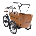 Babboe roof rack for Carve