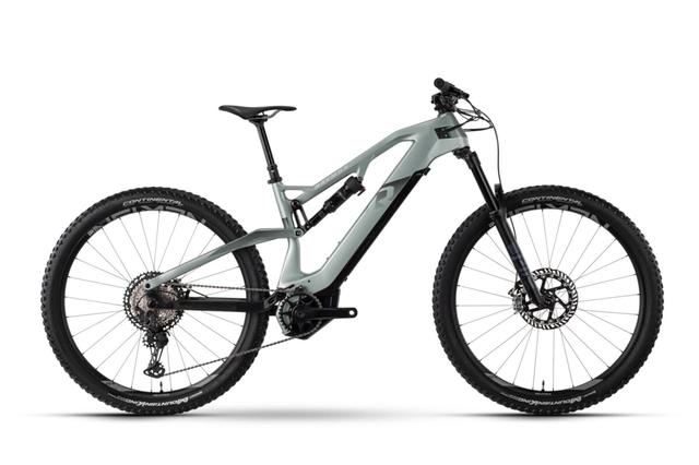 Raymon AirRay 11.0 XL 29", pistaccio/chrome, AirDrive i500Wh 